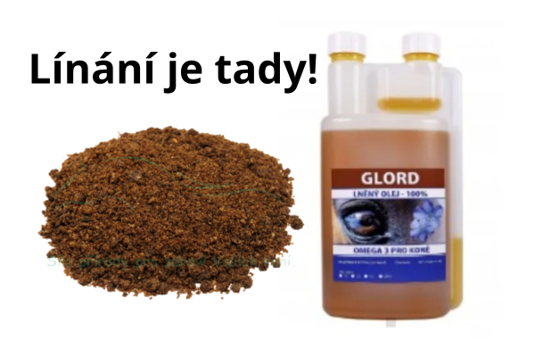 lněné semínko a lněný olej